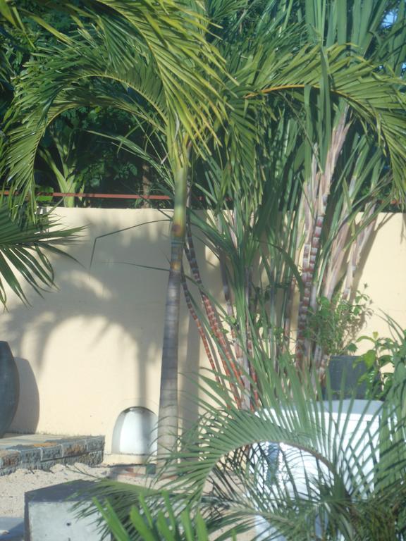 Villa Jolie Santa Avec Piscine Pointe aux Piments
